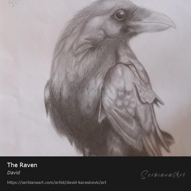 The Raven, Pencil/Paper, David