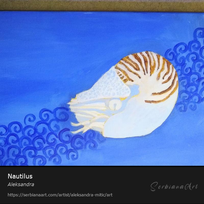 Nautilus, Acrylic/Canvas, Aleksandra