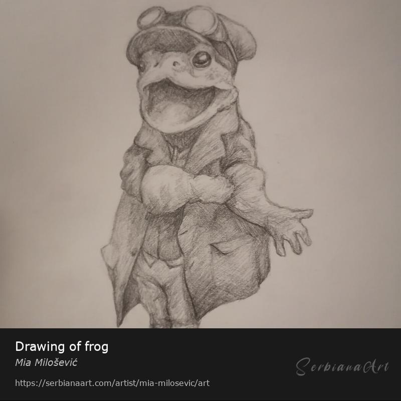 Drawing of frog, Pencil/Paper, Mia Milošević