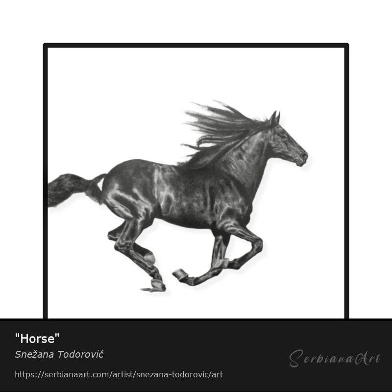 "Horse", Pencil/Paper, Snežana Todorović