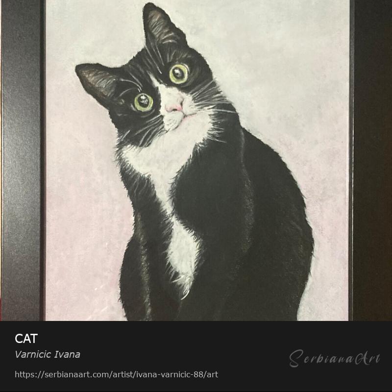 CAT, Pastel/Paper, Varnicic Ivana