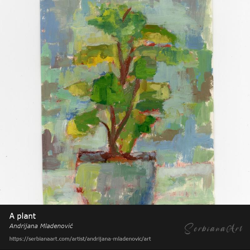 A plant, Tempera/Paper, Andrijana Mladenović
