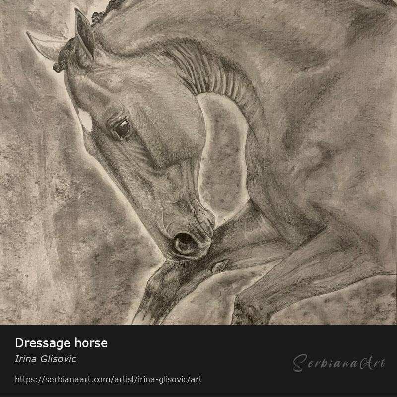 Dressage horse, Pencil/Paper, Irina Glisovic