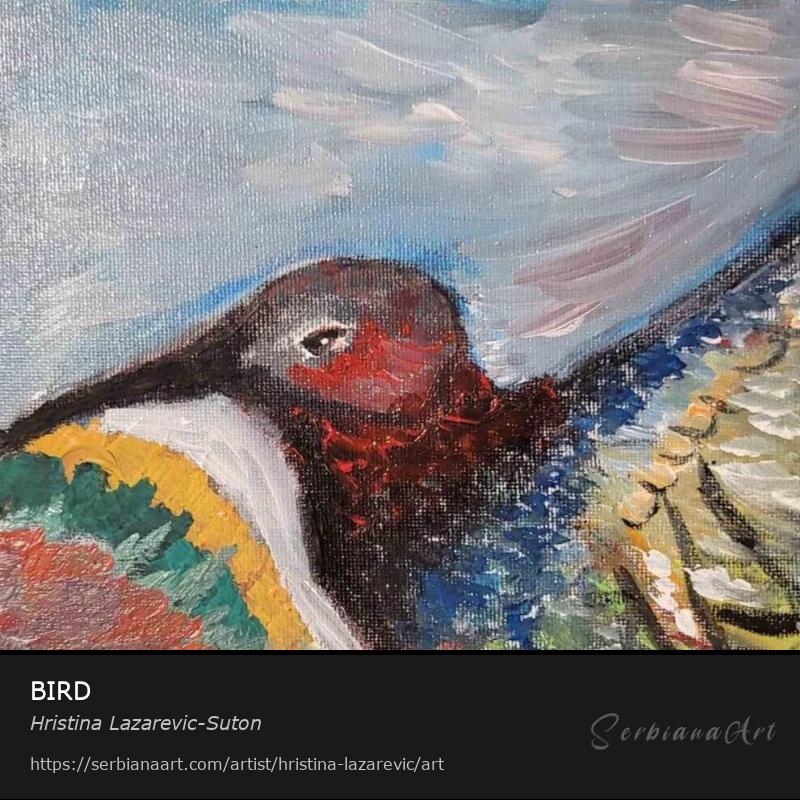 BIRD, Acrylic/Canvas, Hristina Lazarevic-Suton