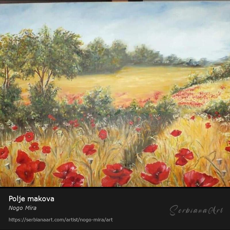 Polje makova, Oil/Canvas, Nogo Mira