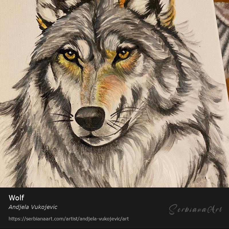 Wolf, Acrylic/Canvas, Andjela Vukojevic