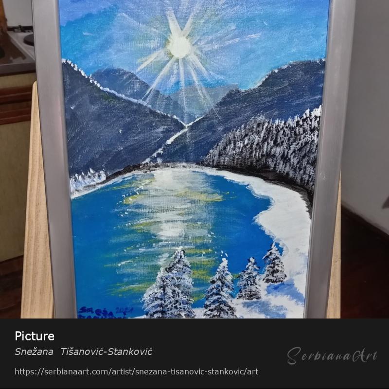 Picture, Acrylic/Canvas, Snežana  Tišanović-Stanković