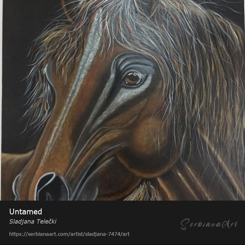 Untamed, Oil/Canvas, Sladjana Telečki
