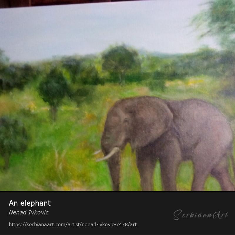 An elephant, Oil/Canvas, Nenad Ivkovic