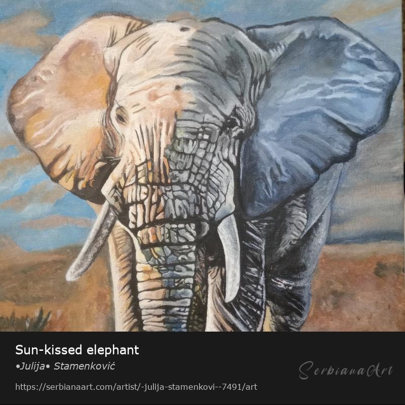 Sun-kissed elephant, Acrylic/Hardboard, •Julija• Stamenković