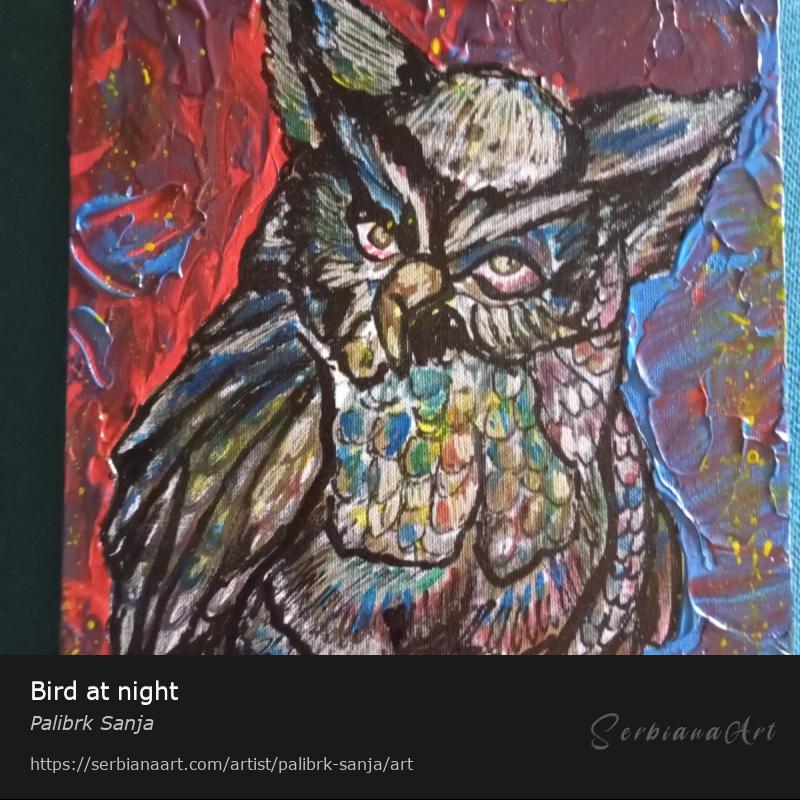Bird at night, Mixed Media/Canvas, Palibrk Sanja