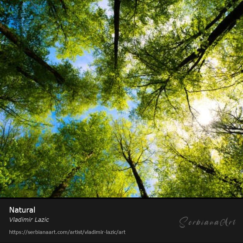 Natural, Photography/Unspecified, Vladimir Lazic