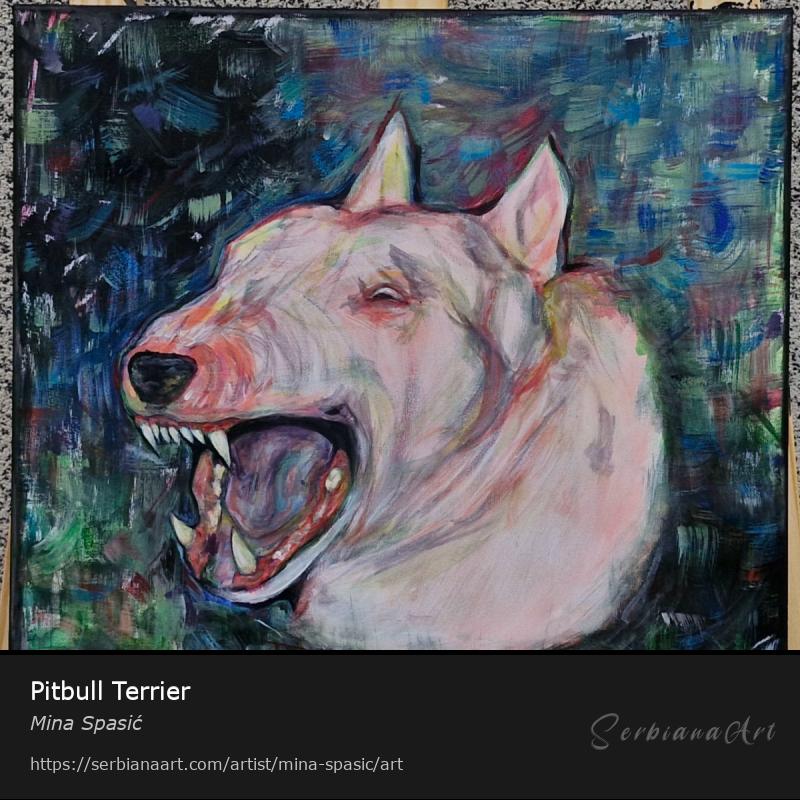Pitbull Terrier, Tempera/Canvas, Mina Spasić