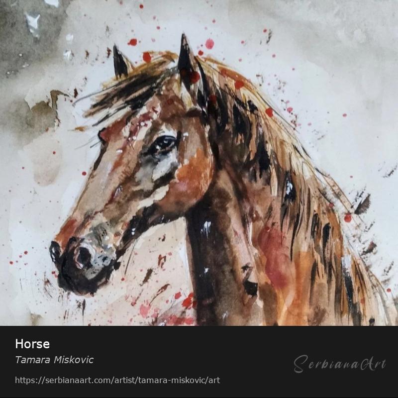 Horse, Tempera/Paper, Tamara Miskovic