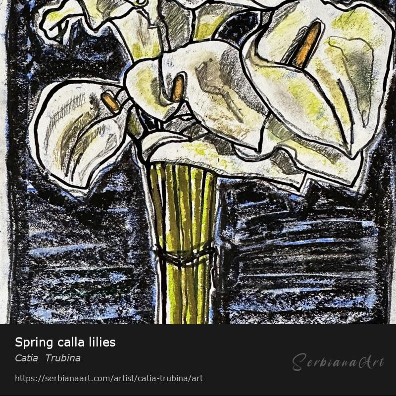 Spring calla lilies, Pastel/Paper, Catia  Trubina