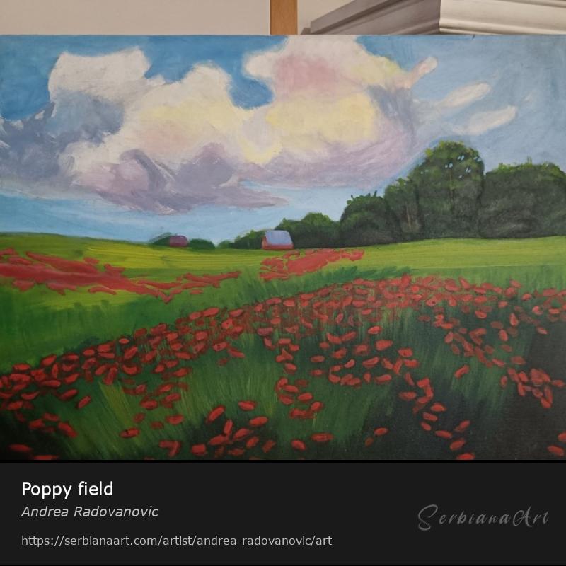 Poppy field, Acrylic/Canvas, Andrea Radovanovic