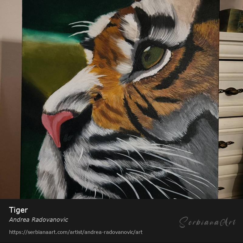 Tiger, Acrylic/Canvas, Andrea Radovanovic