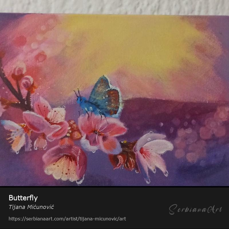 Butterfly, Acrylic/Canvas, Tijana Mićunović