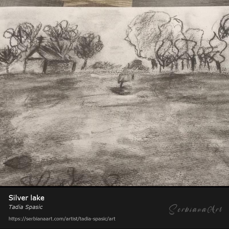 Silver lake, Charcoal/Paper, Tadia Spasic