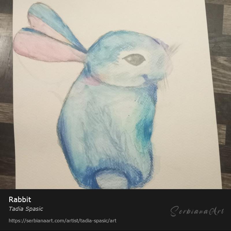 Rabbit, Watercolor/Paper, Tadia Spasic