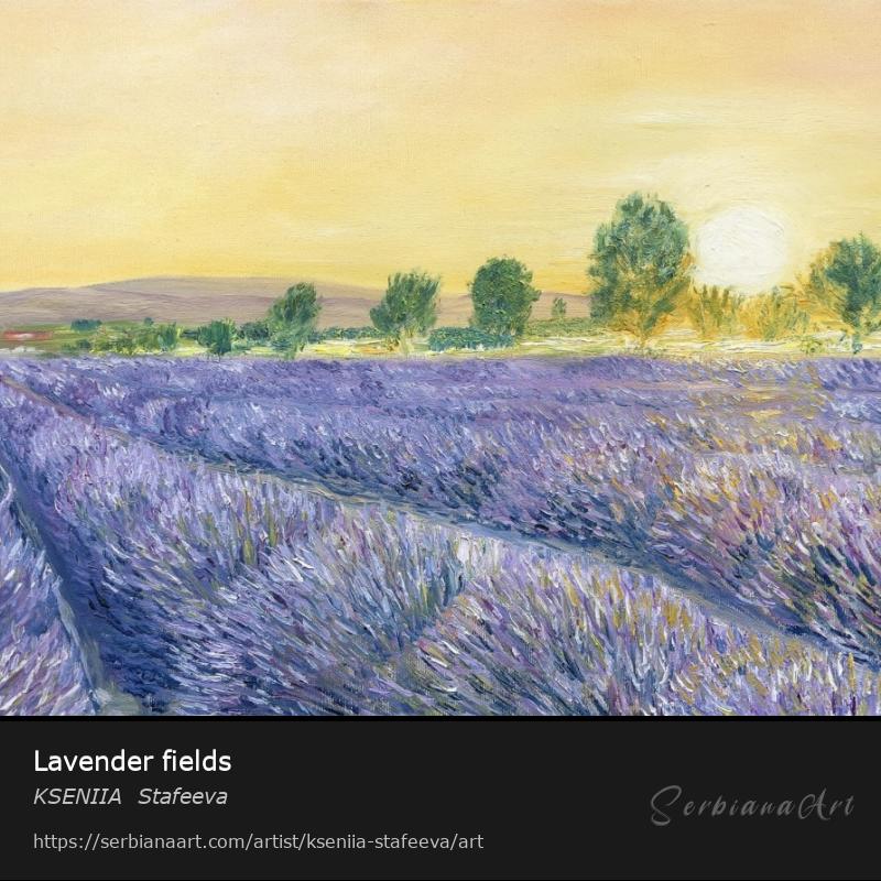 Lavender fields, Oil/Canvas, KSENIIA  Stafeeva