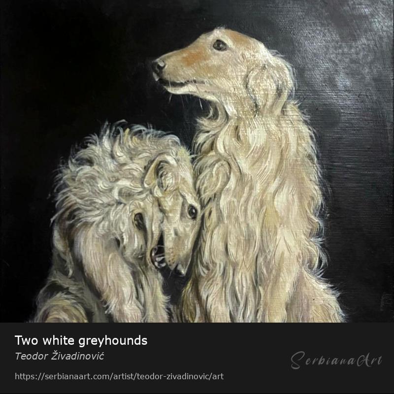 Two white greyhounds, Oil/Canvas, Teodor Živadinović