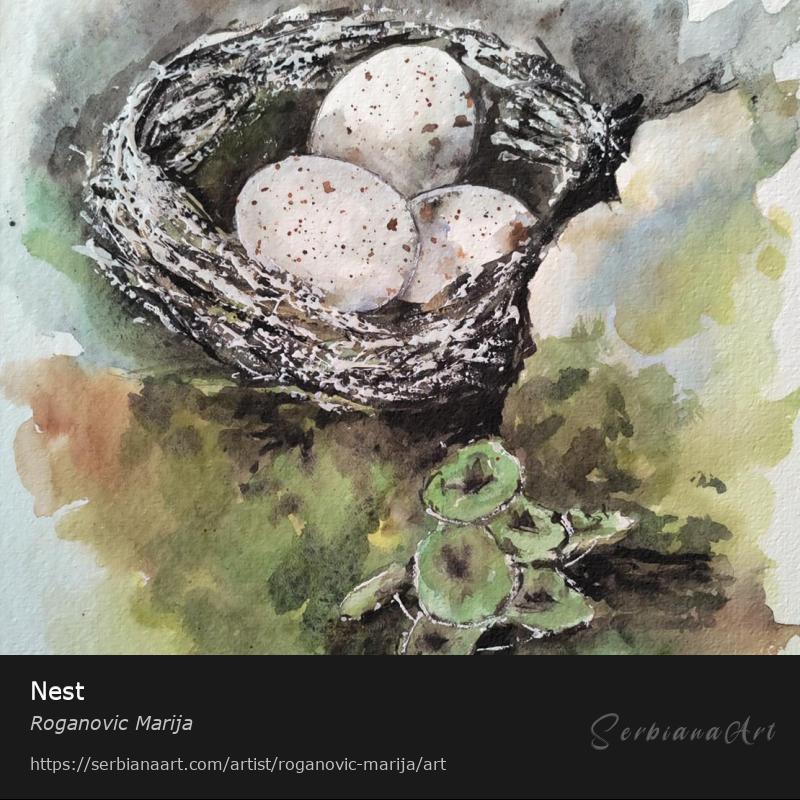 Nest, Watercolor/Paper, Roganovic Marija