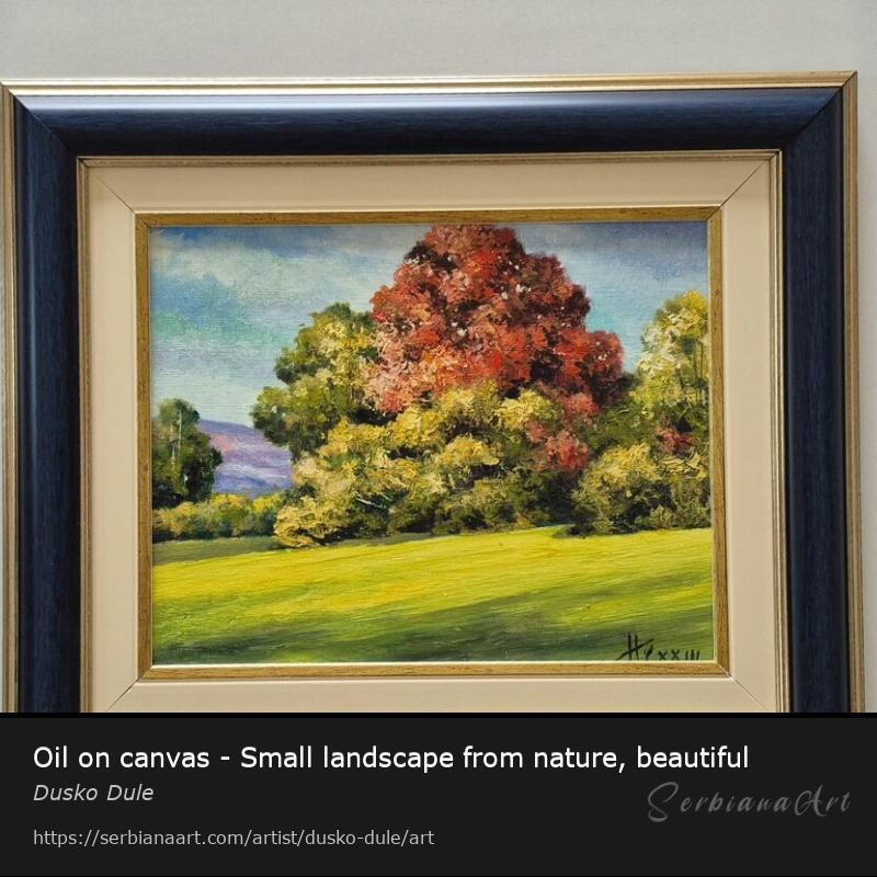 Oil on canvas - Small landscape from nature, beautiful, Oil/Canvas, Dusko Dule