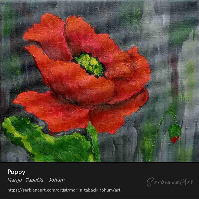 Poppy, Acrylic/Canvas, Marija  Tabački - Johum