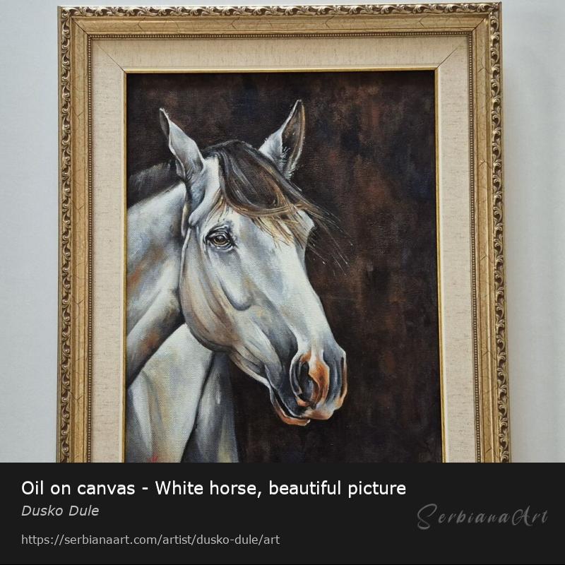 Oil on canvas - White horse, beautiful picture, Oil/Canvas, Dusko Dule