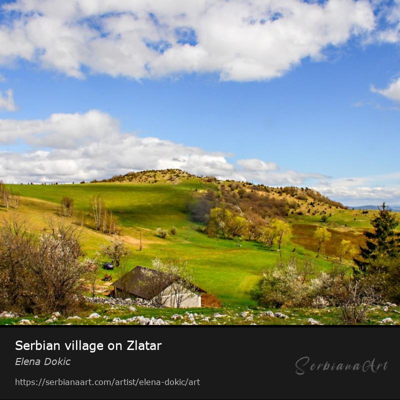 Serbian village on Zlatar, Photography/Unspecified, Elena Dokic