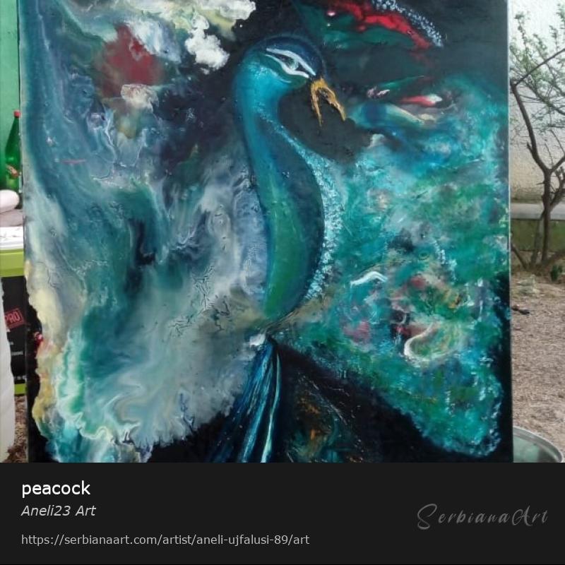 peacock, Oil/Canvas, Aneli23 Art