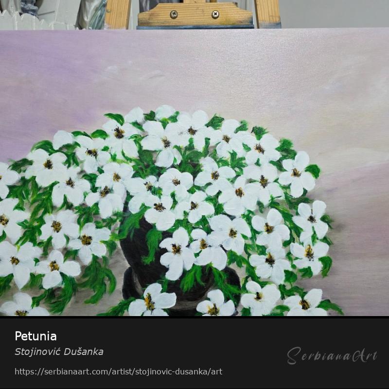 Petunia, Acrylic/Canvas, Stojinović Dušanka