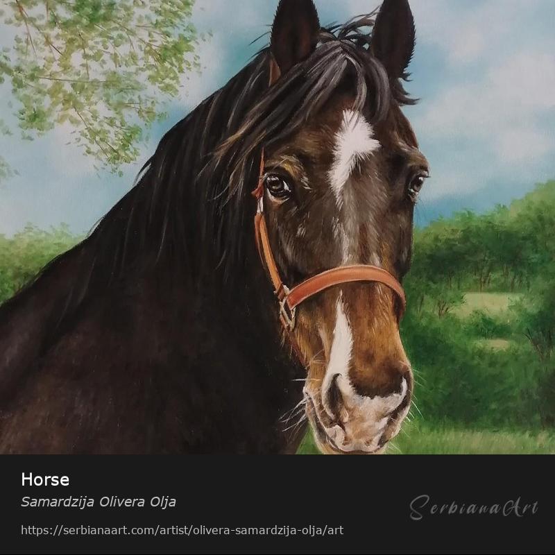 Horse, Oil/Canvas, Samardzija Olivera Olja