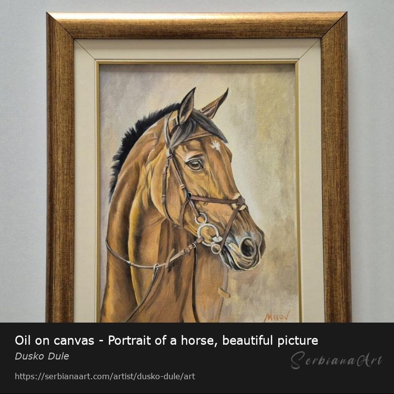 Oil on canvas - Portrait of a horse, beautiful picture, Oil/Canvas, Dusko Dule