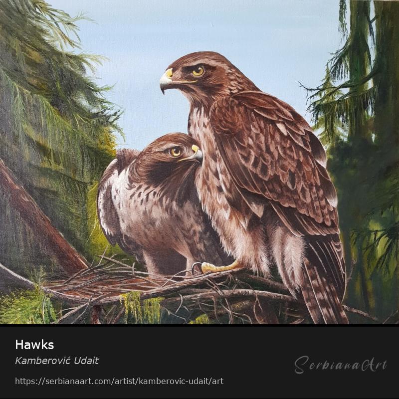 Hawks, Oil/Canvas, Kamberović Udait