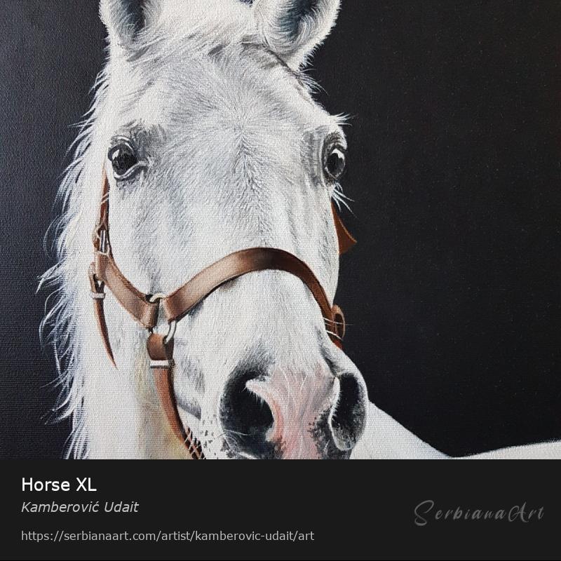 Horse XL, Oil/Canvas, Kamberović Udait