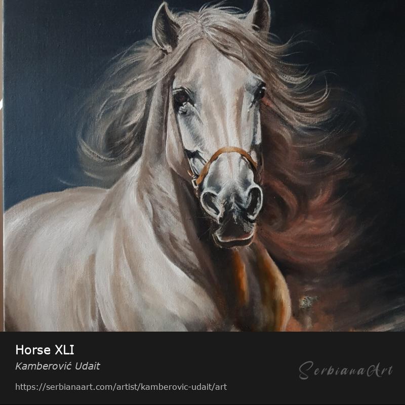 Horse XLI, Oil/Canvas, Kamberović Udait