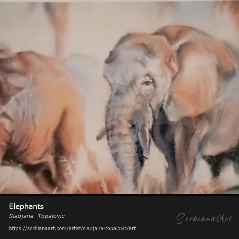 Elephants, Pastel/Paper, Sladjana  Topalovic