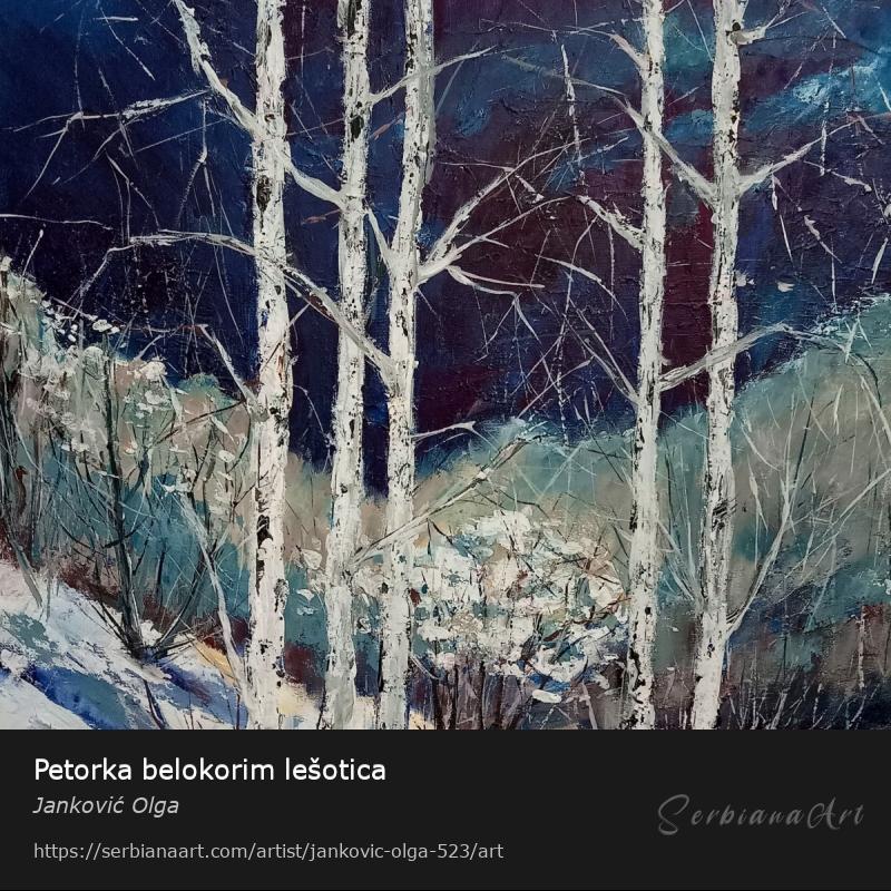 Petorka belokorim lešotica, Acrylic/Canvas, Janković Olga