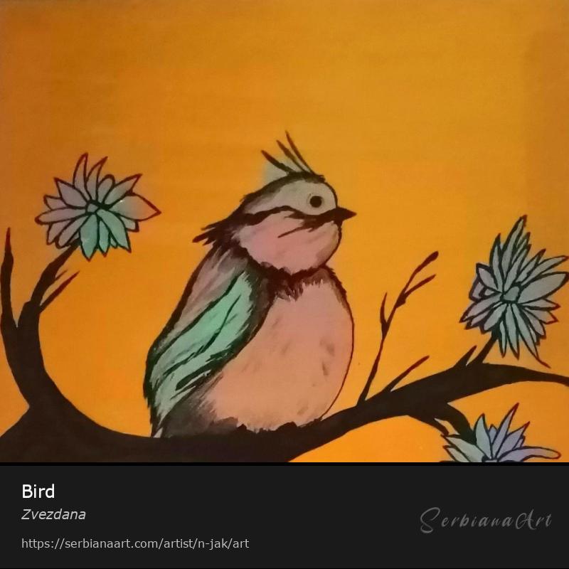 Bird, Acrylic/Canvas, Zvezdana