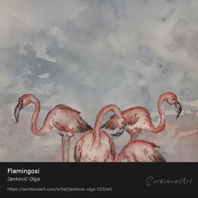 Flamingosi, Watercolor/Paper, Janković Olga