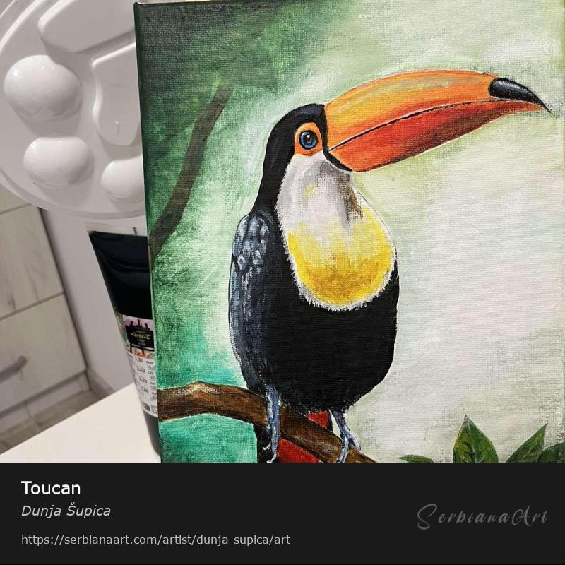 Toucan, Acrylic/Canvas, Dunja Šupica