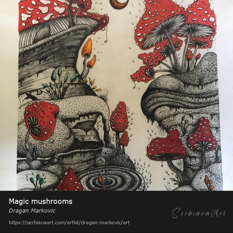Magic mushrooms, Mixed Media/Paper, Dragan Markovic
