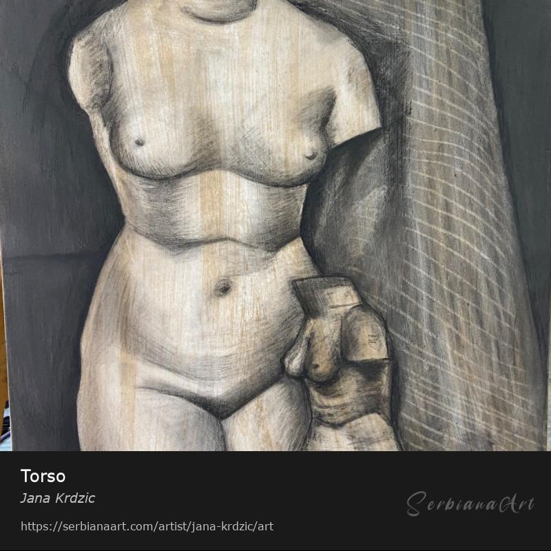 Torso, Charcoal/Paper, Jana Krdzic