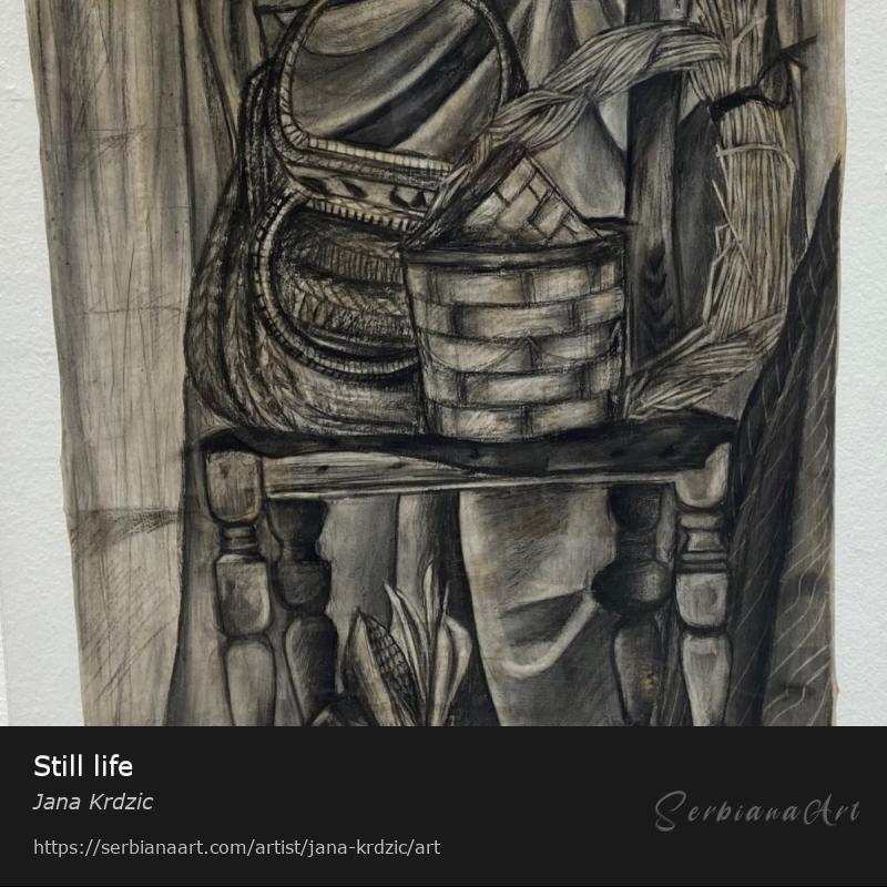 Still life, Charcoal/Paper, Jana Krdzic