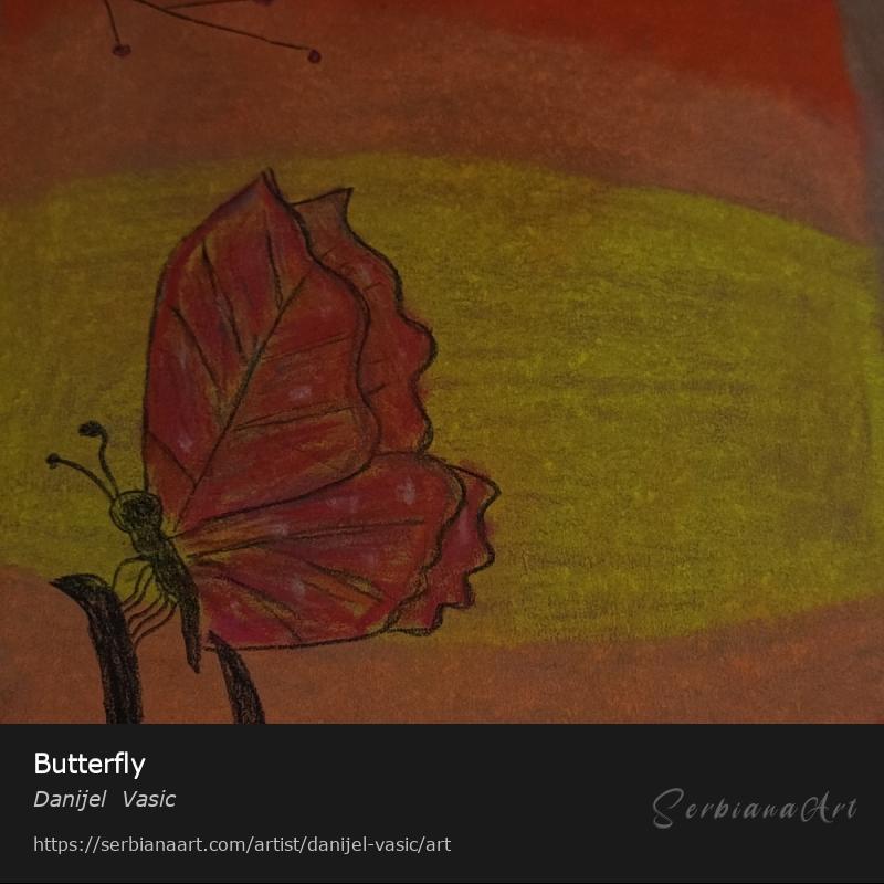 Butterfly, Pastel/Paper, Danijel  Vasic