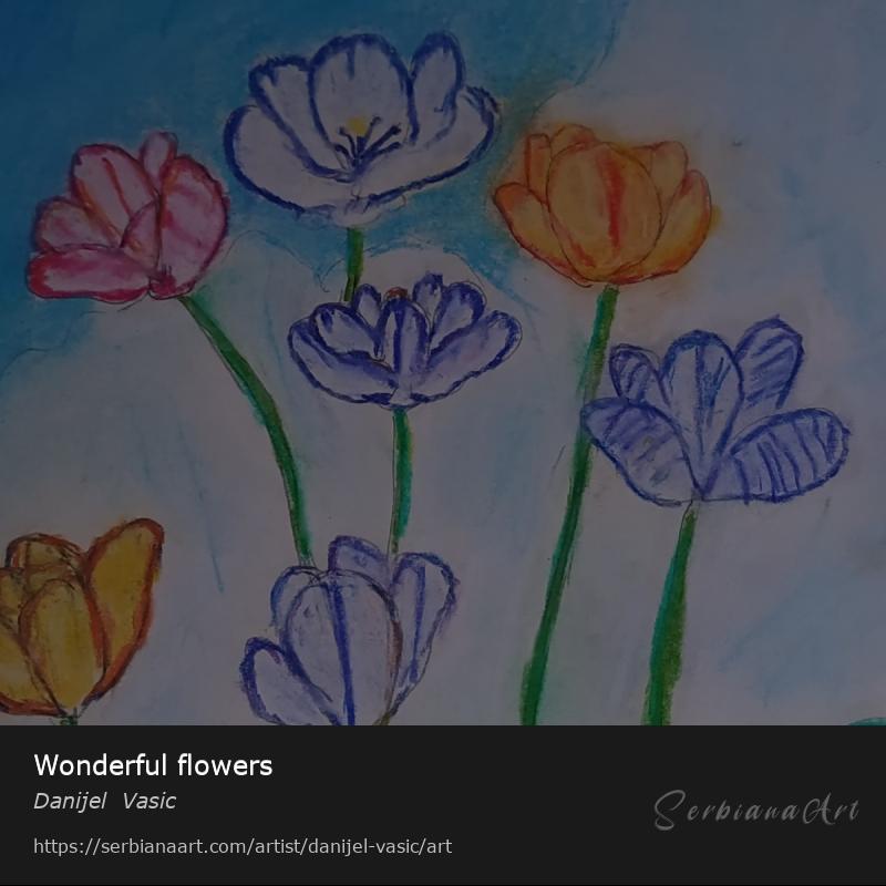 Wonderful flowers, Pastel/Paper, Danijel  Vasic