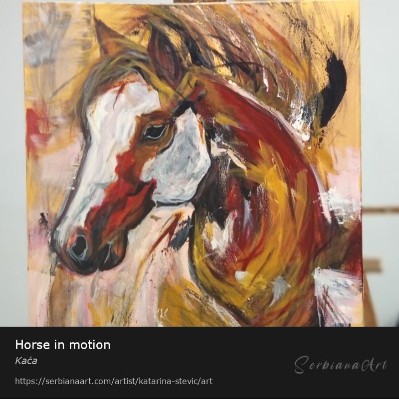 Horse in motion, Acrylic/Canvas, Kaća