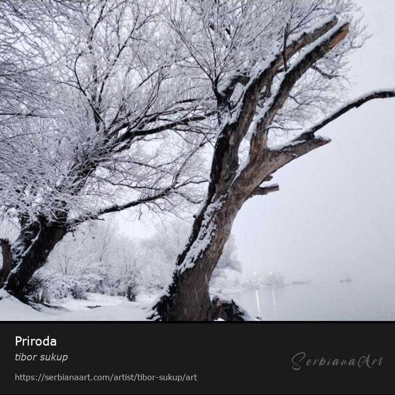 Priroda, Photography/Unspecified, tibor sukup